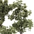 Decorative Bonsai Tree Collection 131 3D model small image 3