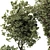 Decorative Bonsai Tree Collection 131 3D model small image 4