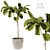 Modern Indoor Plant 3D Model 3D model small image 1