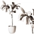 Modern Indoor Plant 3D Model 3D model small image 2