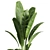 Banana Indoor Plant 3D Model 3D model small image 2