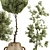 Handcrafted Bonsai Bush Pottery 133 3D model small image 4