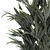 Exotic Tropical Palm Decor 3D model small image 2