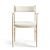 Petrie Ash Upholstered Dining Chair 3D model small image 2