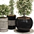 Exquisite Indoor Bonsai Collection 3D model small image 4