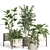 52-Piece Indoor Plant Set 3D model small image 1