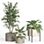 52-Piece Indoor Plant Set 3D model small image 2