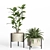 52-Piece Indoor Plant Set 3D model small image 3