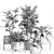 52-Piece Indoor Plant Set 3D model small image 4
