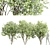 Versatile 3D Amelanchier Tree Pack 3D model small image 1