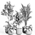 Modern Concrete Indoor Plant Set 3D model small image 3