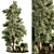 Outdoor Plant Set - Variety 3D model small image 1