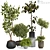  Max 2015 Indoor Plant Set 3D model small image 1