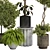  Max 2015 Indoor Plant Set 3D model small image 4