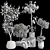  Max 2015 Indoor Plant Set 3D model small image 7