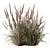 Assorted Tall Grass Collection - Set 22 3D model small image 4