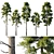 Pine 18m and 12m 3D model small image 1