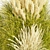  Collection Plant Vol 492: Switchgrass Northwind 3D model small image 4