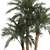 Exotic Phoenix Robelena Palm in White Flower Pot 3D model small image 2