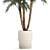 Exotic Phoenix Robelena Palm in White Flower Pot 3D model small image 3