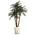 Exotic Phoenix Robelena Palm in White Flower Pot 3D model small image 6