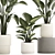 Exotic Plant Collection Concrete Decor 3D model small image 3