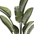 Exotic Plant Collection Concrete Decor 3D model small image 4