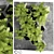 Versatile Indoor Plant Set 12 3D model small image 1