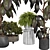 Indoor Plant 3D Model Set 3D model small image 4