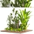  Indoor Plant Collection Vol. 47 3D model small image 2