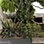 Landscaping Tree Bush Set 143 3D model small image 5