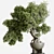 Bonsai Tree Concrete Vase Set 3D model small image 3