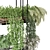 Metal Box Hanging Plants Set 3D model small image 3