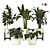 Indoor and Outdoor Plant Collection 3D model small image 1