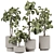 Modern Indoor Plant Model 3D model small image 1