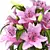 Elegant Lilium Flowers Set Available 3D model small image 2