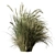 Set of Two Tall Grasses 3D model small image 3