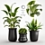 Modern Indoor Plant Set Kits 3D model small image 1