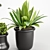 Modern Indoor Plant Set Kits 3D model small image 3