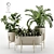Versatile Indoor Plant Set 3D model small image 1