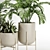 Versatile Indoor Plant Set 3D model small image 2