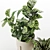 Versatile Indoor Plant Set 3D model small image 3