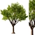 Exquisite Mahogany Tree Model 2016 3D model small image 1