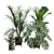 Exotic Indoor Plants 3D Pack 3D model small image 1