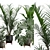 Exotic Indoor Plants 3D Pack 3D model small image 2