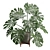 Exotic Indoor Plants 3D Pack 3D model small image 4