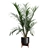 Exotic Indoor Plants 3D Pack 3D model small image 5