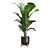 Exotic Indoor Plants 3D Pack 3D model small image 6