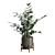 Exotic Indoor Plants 3D Pack 3D model small image 7
