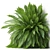 Green Oasis Plants Collection 3D model small image 2